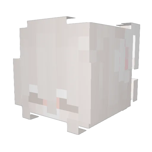 S_PUPA Minecraft avatar head, 3D render