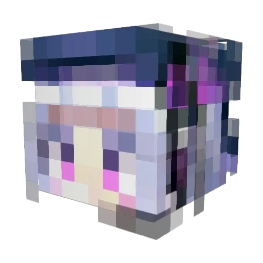 S_Remi Minecraft avatar head, 3D render