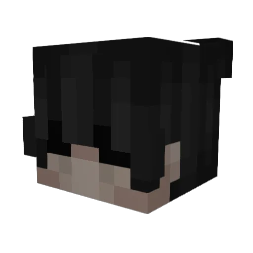 S_S197 Minecraft avatar head, 3D render