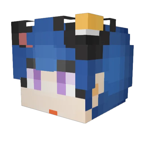 S_SaeSA Minecraft avatar head, 3D render