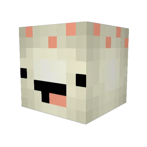 S_Tinky Minecraft avatar head, 3D render