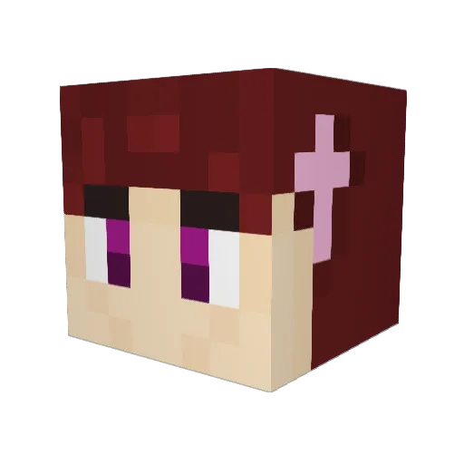 S_Udon Minecraft avatar head, 3D render