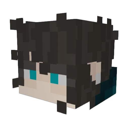 S_aj Minecraft avatar head, 3D render