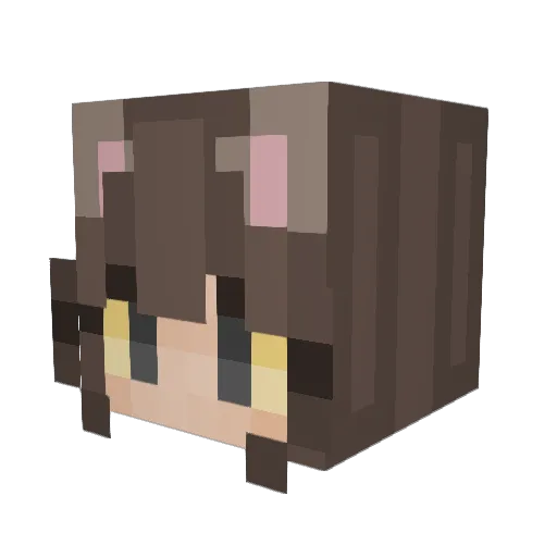 S_entra Minecraft avatar head, 3D render