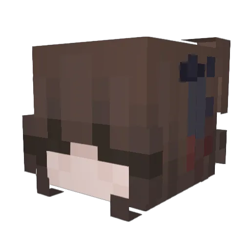 S_h_i_v_e_r Minecraft avatar head, 3D render