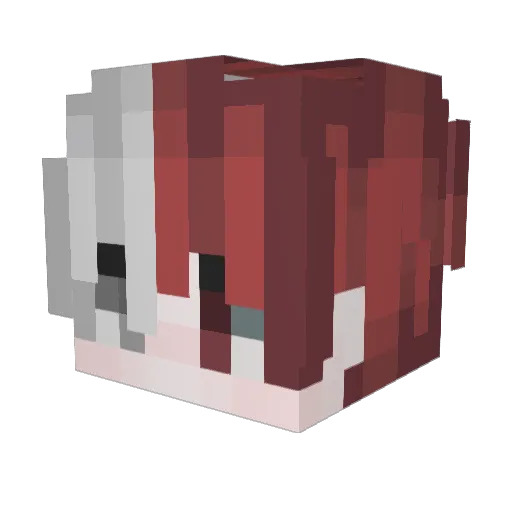 S_hwan72 Minecraft avatar head, 3D render