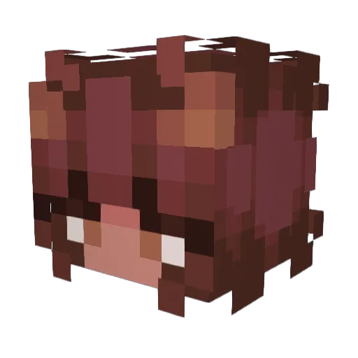 S_k_y_123 Minecraft avatar head, 3D render