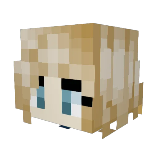 S_nsA3ire Minecraft avatar head, 3D render