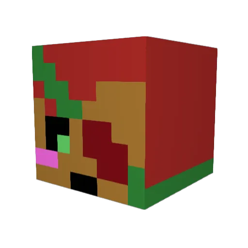 S_o_u_p_ Minecraft avatar head, 3D render