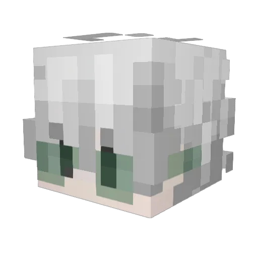 S_sh1 Minecraft avatar head, 3D render