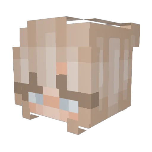 Sa13m_Sage Minecraft avatar head, 3D render