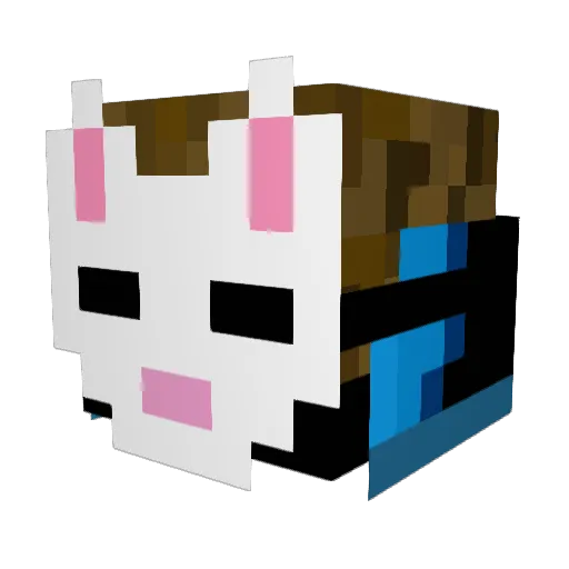 Sa1_Nx Minecraft avatar head, 3D render