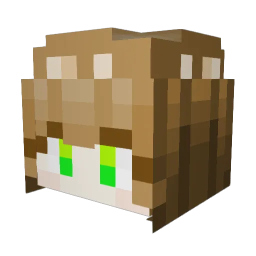 Sa1mon_Sushi Minecraft avatar head, 3D render