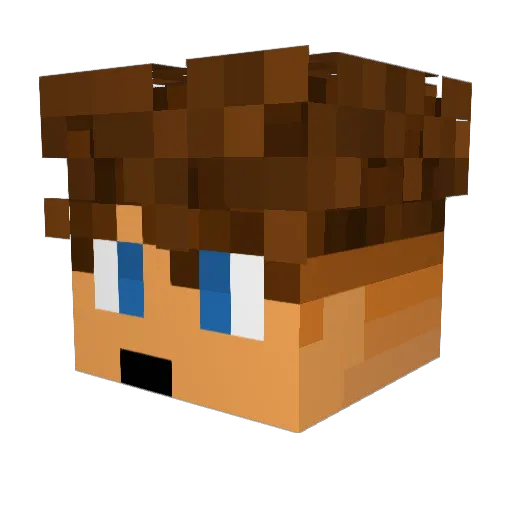 Sa1ter Minecraft avatar head, 3D render