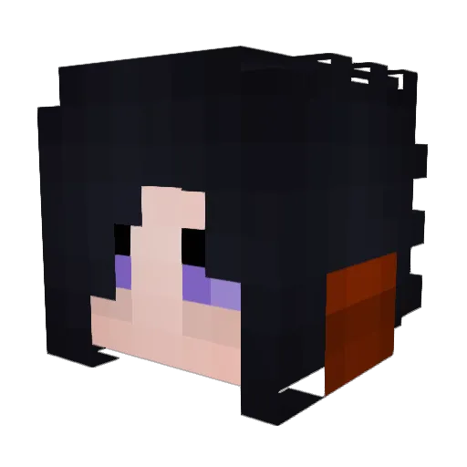SaBooH22 Minecraft avatar head, 3D render