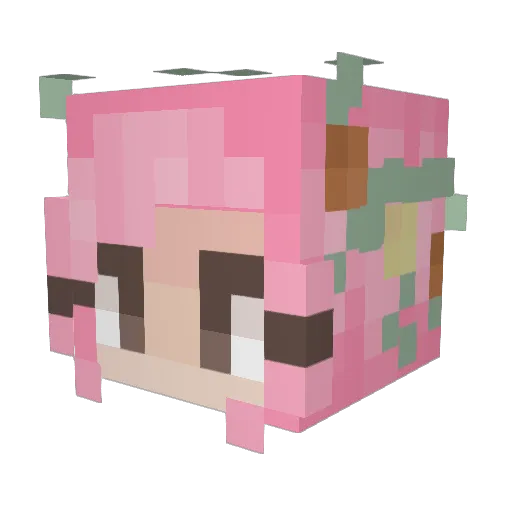 SaChanNyan Minecraft avatar head, 3D render