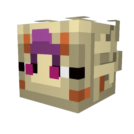 SaFaRi_MVp Minecraft avatar head, 3D render