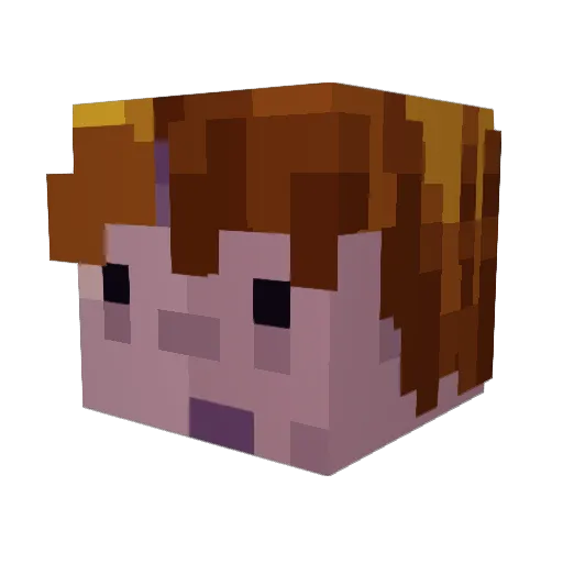 SaImoneIa Minecraft avatar head, 3D render