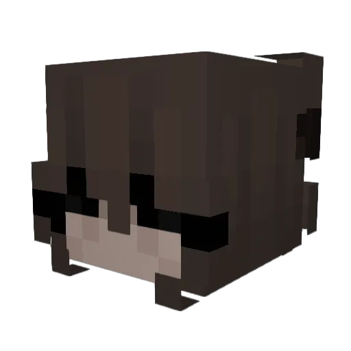 SaJwx Minecraft avatar head, 3D render