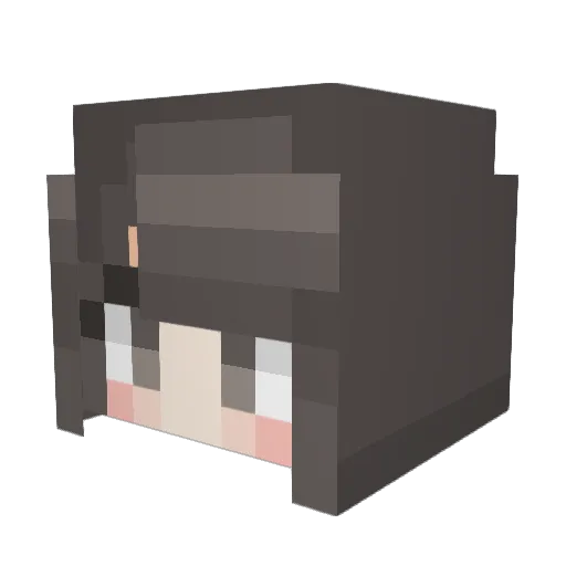 SaKI3902 Minecraft avatar head, 3D render