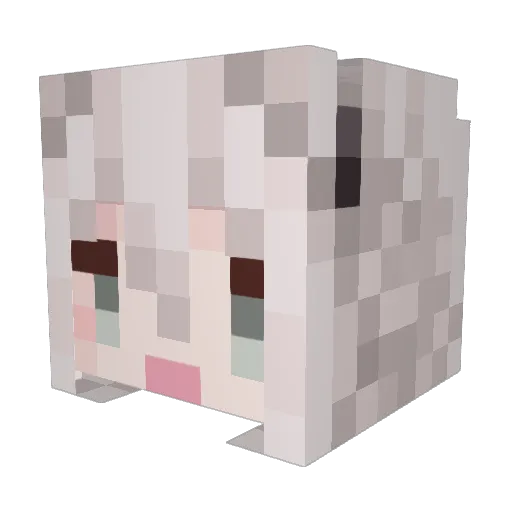 SaKki1132 Minecraft avatar head, 3D render