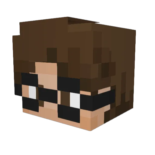 SaLaZG Minecraft avatar head, 3D render