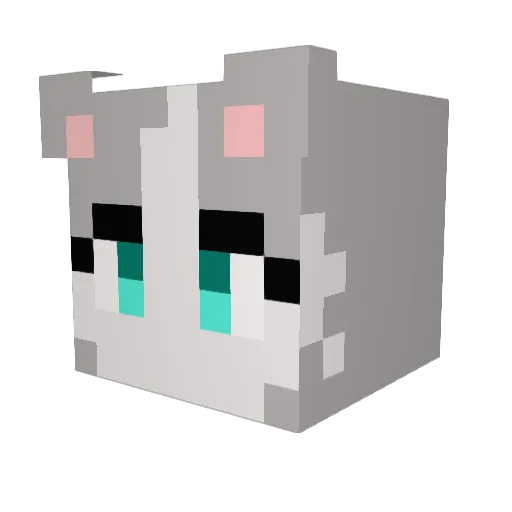 SaLady7788 Minecraft avatar head, 3D render