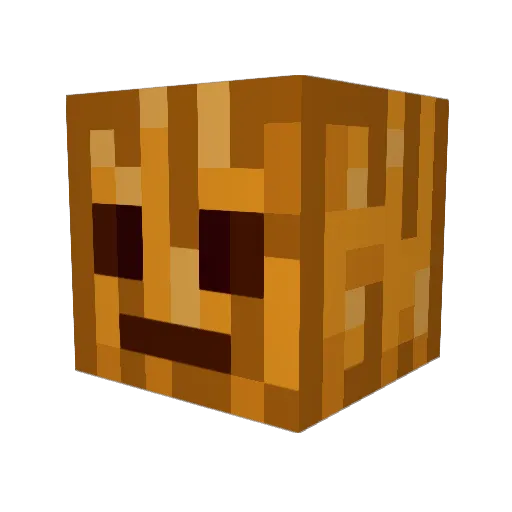 SaLt243 Minecraft avatar head, 3D render