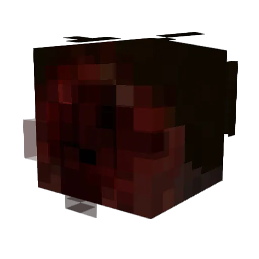 SaNKeyY666 Minecraft avatar head, 3D render