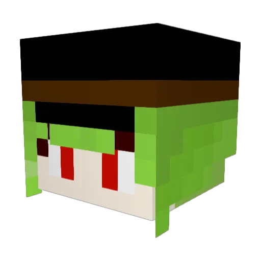 SaNuAisu Minecraft avatar head, 3D render
