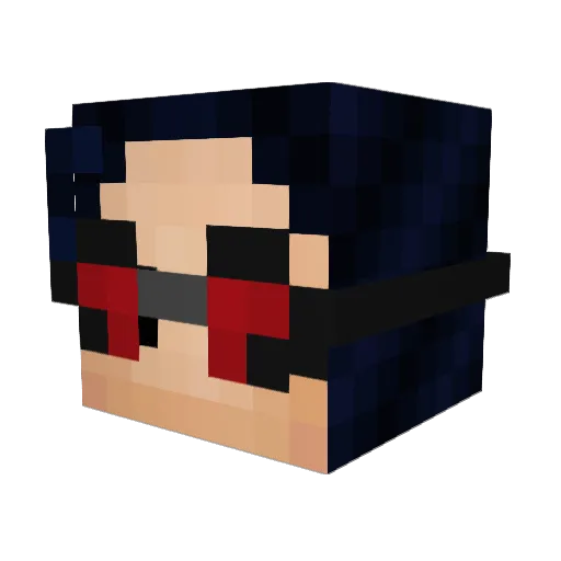 SaSu20 Minecraft avatar head, 3D render