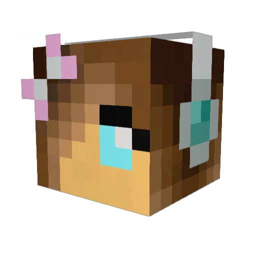 SaVirSa Minecraft avatar head, 3D render