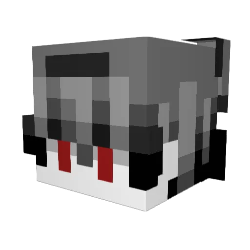 SaWeTjr Minecraft avatar head, 3D render