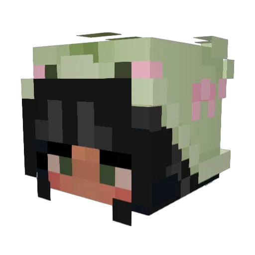 Sa_tuurn Minecraft avatar head, 3D render