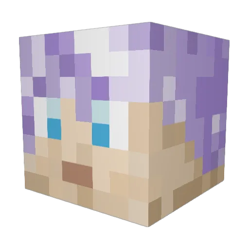 SaaNaa19 Minecraft avatar head, 3D render