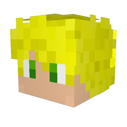 Saaach_ Minecraft avatar head, 3D render