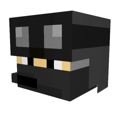 Saaan11 Minecraft avatar head, 3D render