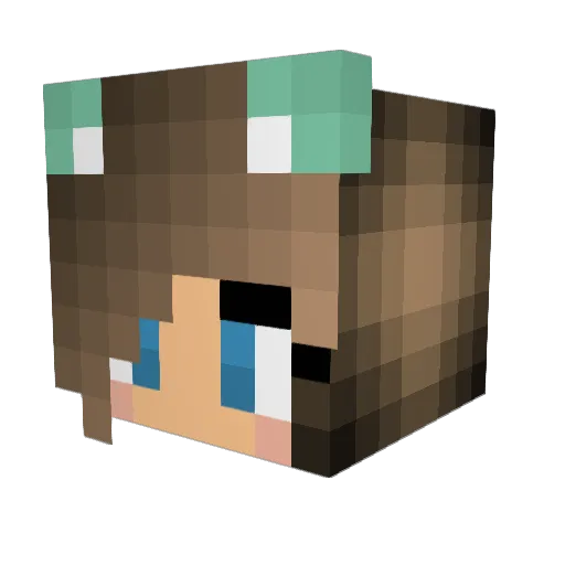 SaaarBeear Minecraft avatar head, 3D render