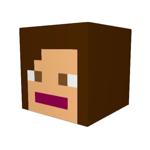 Saaculus Minecraft avatar head, 3D render