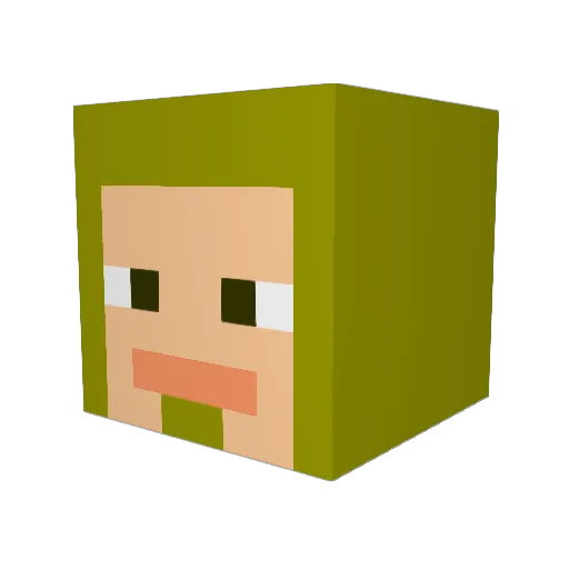 Saadus Minecraft avatar head, 3D render