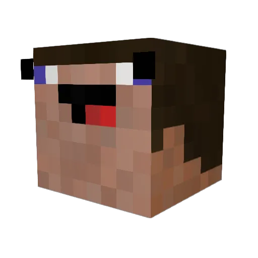Saaja Minecraft avatar head, 3D render