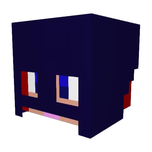 Saal77 Minecraft avatar head, 3D render