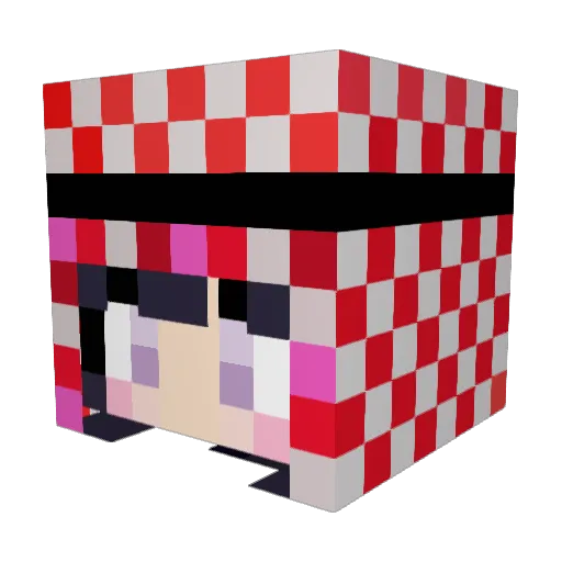 Saalgee Minecraft avatar head, 3D render
