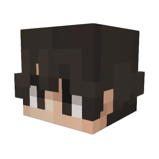 Saampje Minecraft avatar head, 3D render