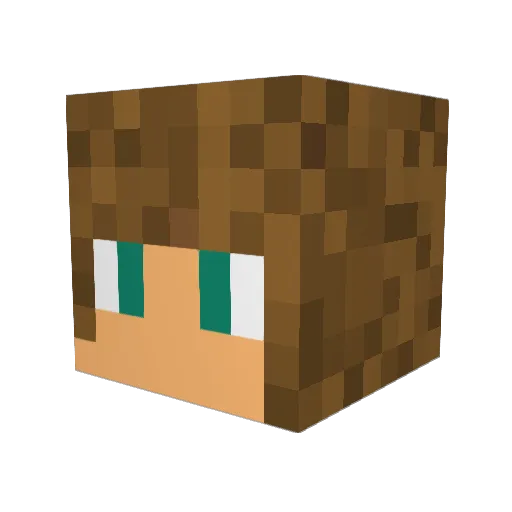 Saamuun Minecraft avatar head, 3D render