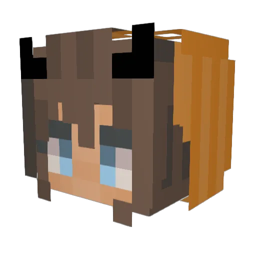 Saandrity Minecraft avatar head, 3D render