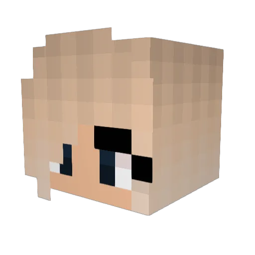 Saaran Minecraft avatar head, 3D render