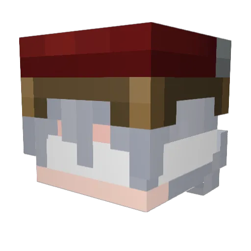 Saass_ Minecraft avatar head, 3D render