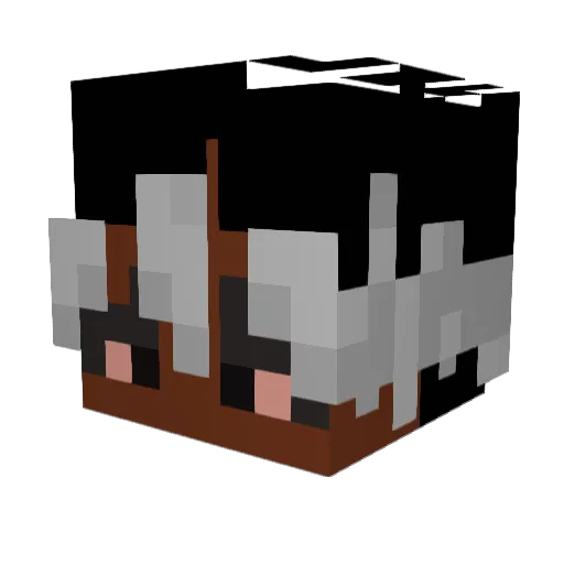 SabCarFan21 Minecraft avatar head, 3D render