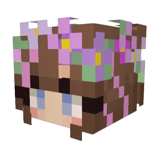 Sabeltje Minecraft avatar head, 3D render